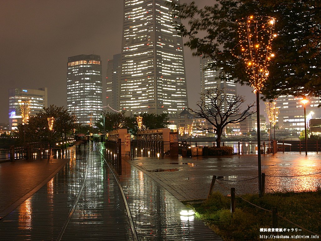 Night waterfront in Yokohama, Japan: rain-slick boardwalk and lit trees reflecting on water beside towering man-made office skyscrapers.