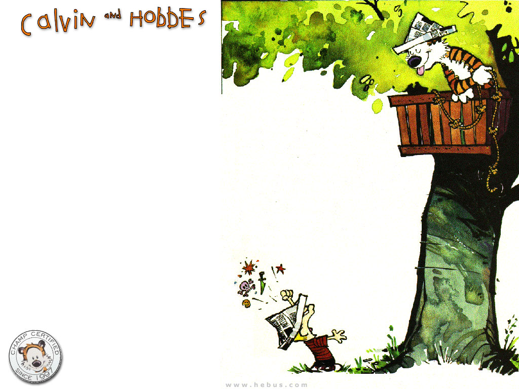 Calvin & Hobbes Picture