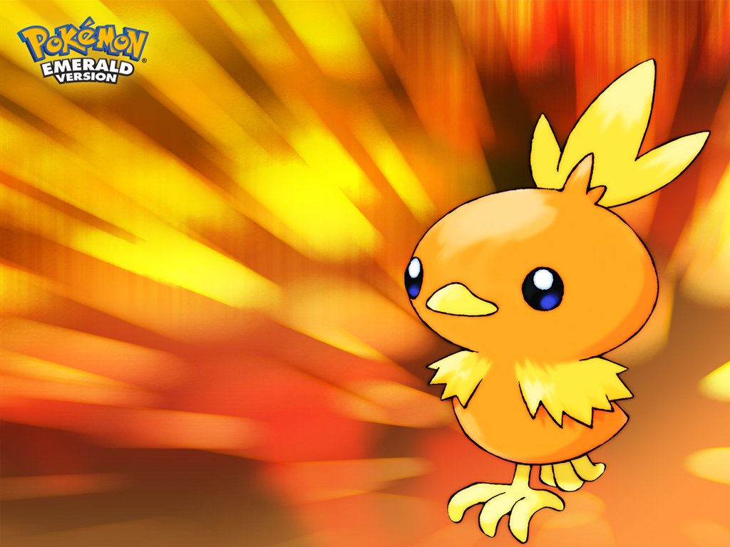 Torchic Pokemon Pictures And Images Free HD Downloads 20 