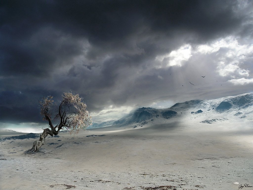 A solitary tree stands against a dramatic sky, with snow-covered mountains in the distance, showcasing the stark beauty of nature.