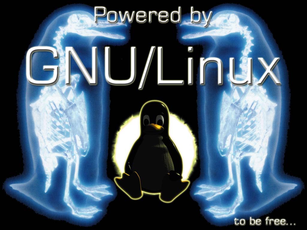 Linux image unsigned что это