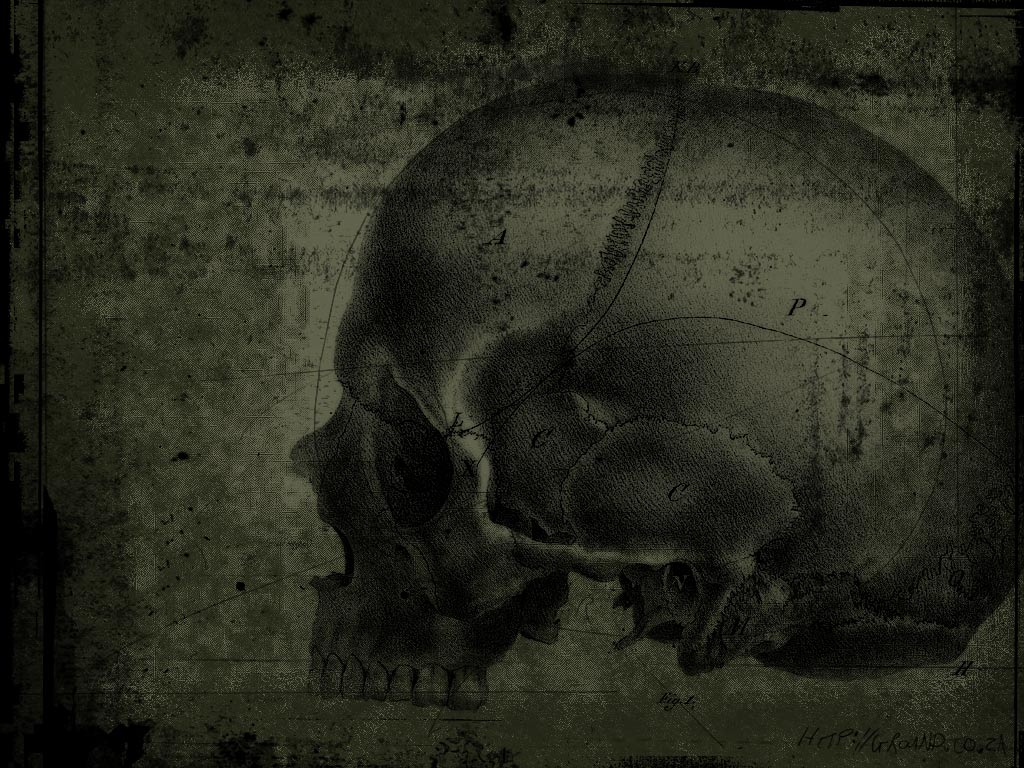 Skull Picture