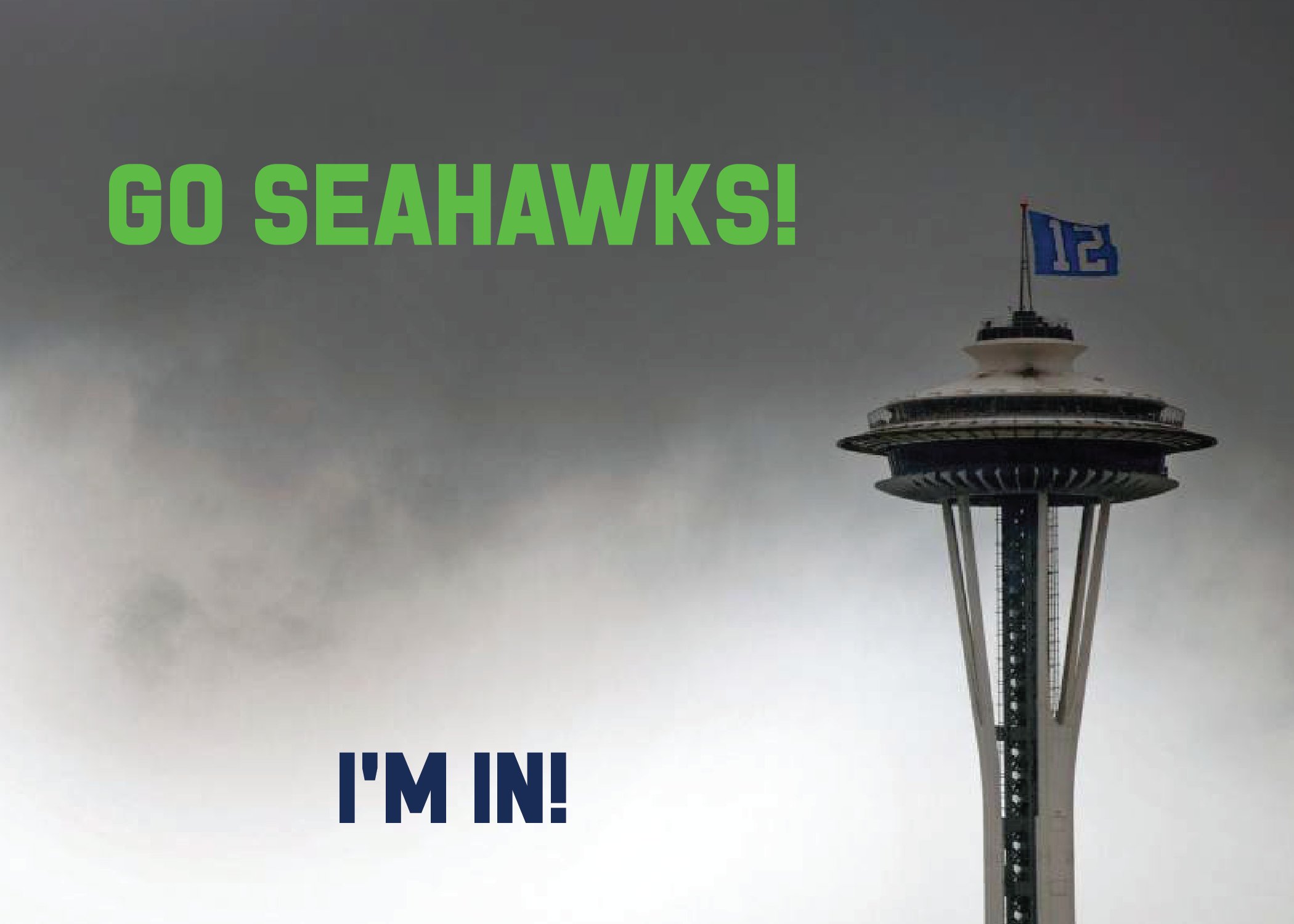 Seattle Seahawks Picture