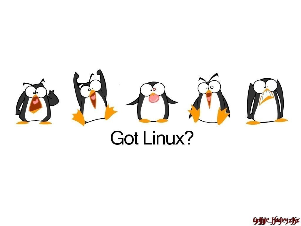 Five playful penguins are displayed above the text Got Linux? showcasing a fun representation of Linux technology.