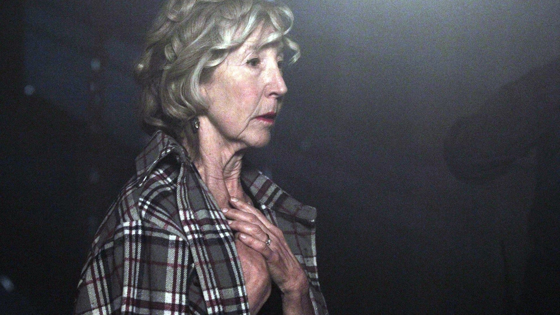 movie The Final Wish Image