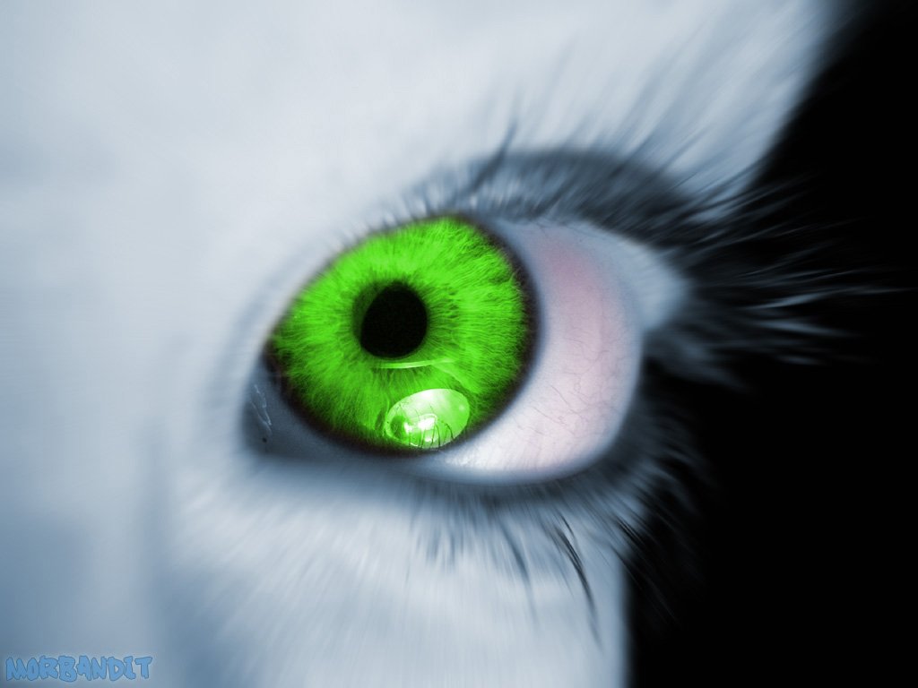 A close-up of a striking green eye, featuring vibrant details and a captivating gaze, set against a dark background, creating an artistic and intriguing composition.