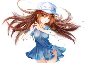 Image ID: 236272