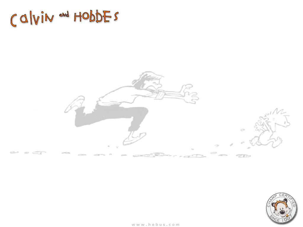 Calvin & Hobbes Picture