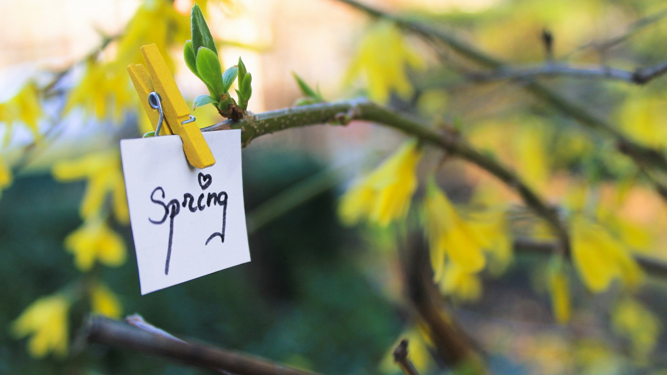 Download Nature Spring Image