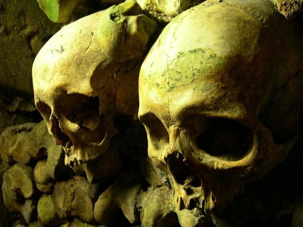 Two dark, weathered skulls are positioned close together, partially covered in moss, set against a backdrop of irregular stone formations. The atmosphere is eerie and somber.
