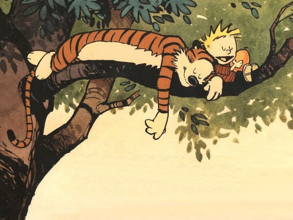 Calvin (Calvin &amp; Hobbes) Hobbes (Calvin &amp; Hobbes) Comic Calvin &amp; Hobbes Image