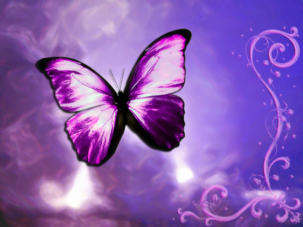 Artistic Butterfly Picture