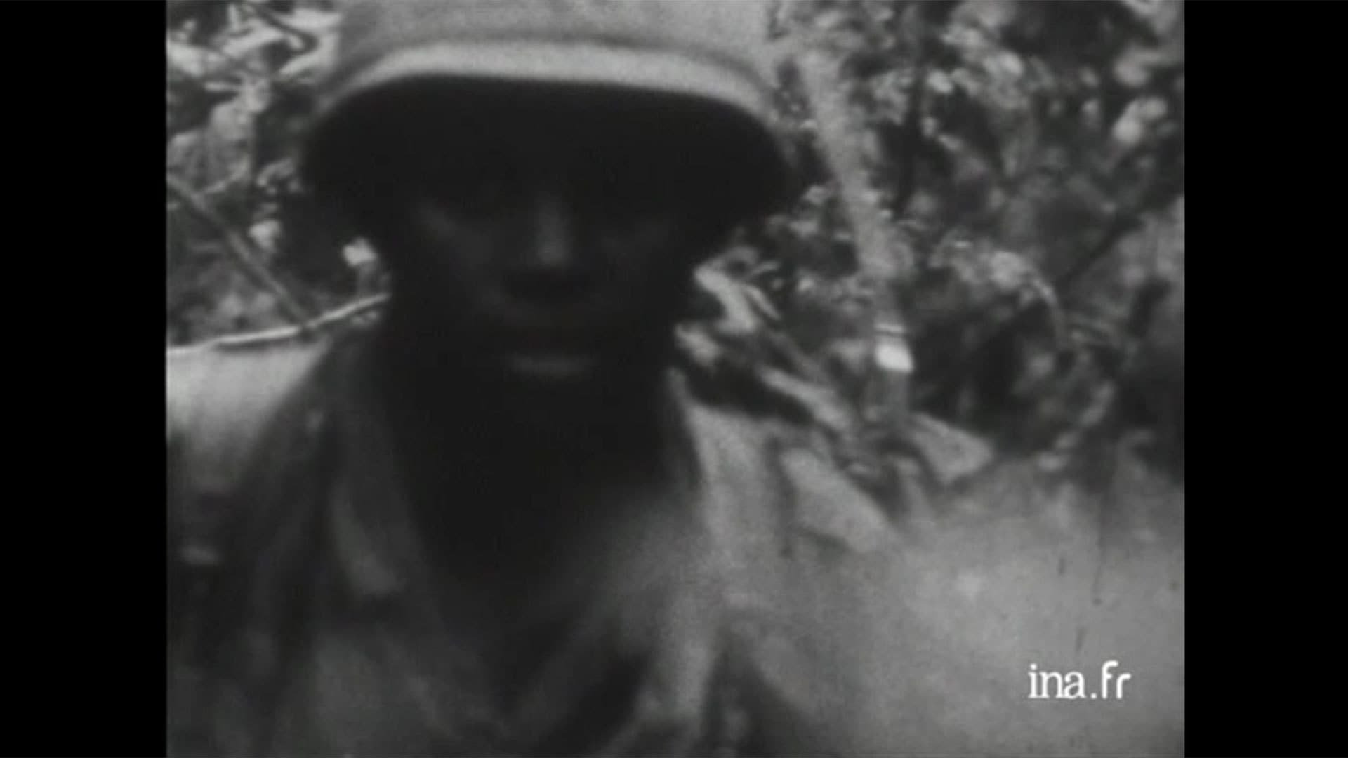 movie The Anderson Platoon Image