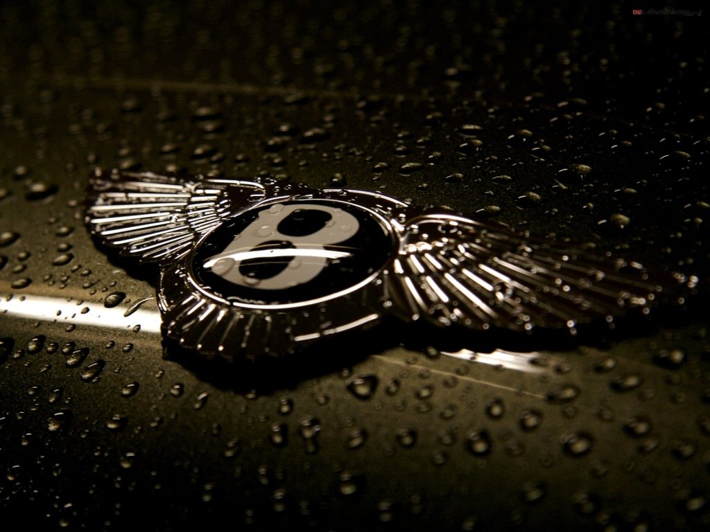 Close-up of a Bentley emblem adorned with raindrops, showcasing the iconic B surrounded by wings on a sleek, dark surface.