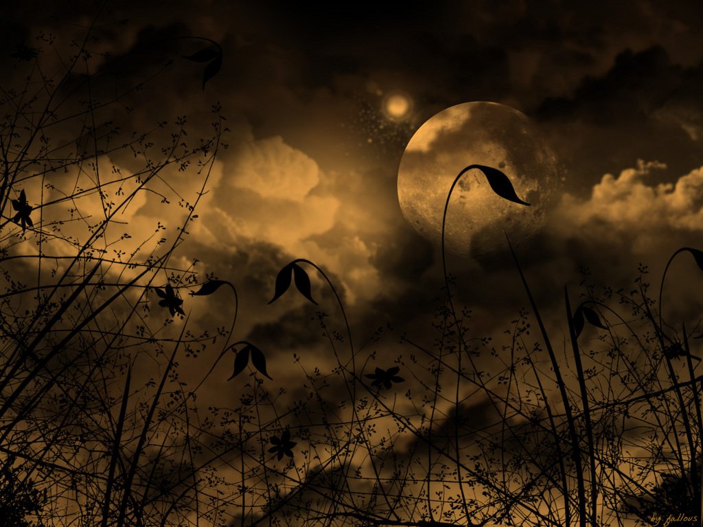 A full moon illuminates a dramatic, cloudy sky, casting an artistic glow over silhouetted plants, creating a striking blend of nature and night.