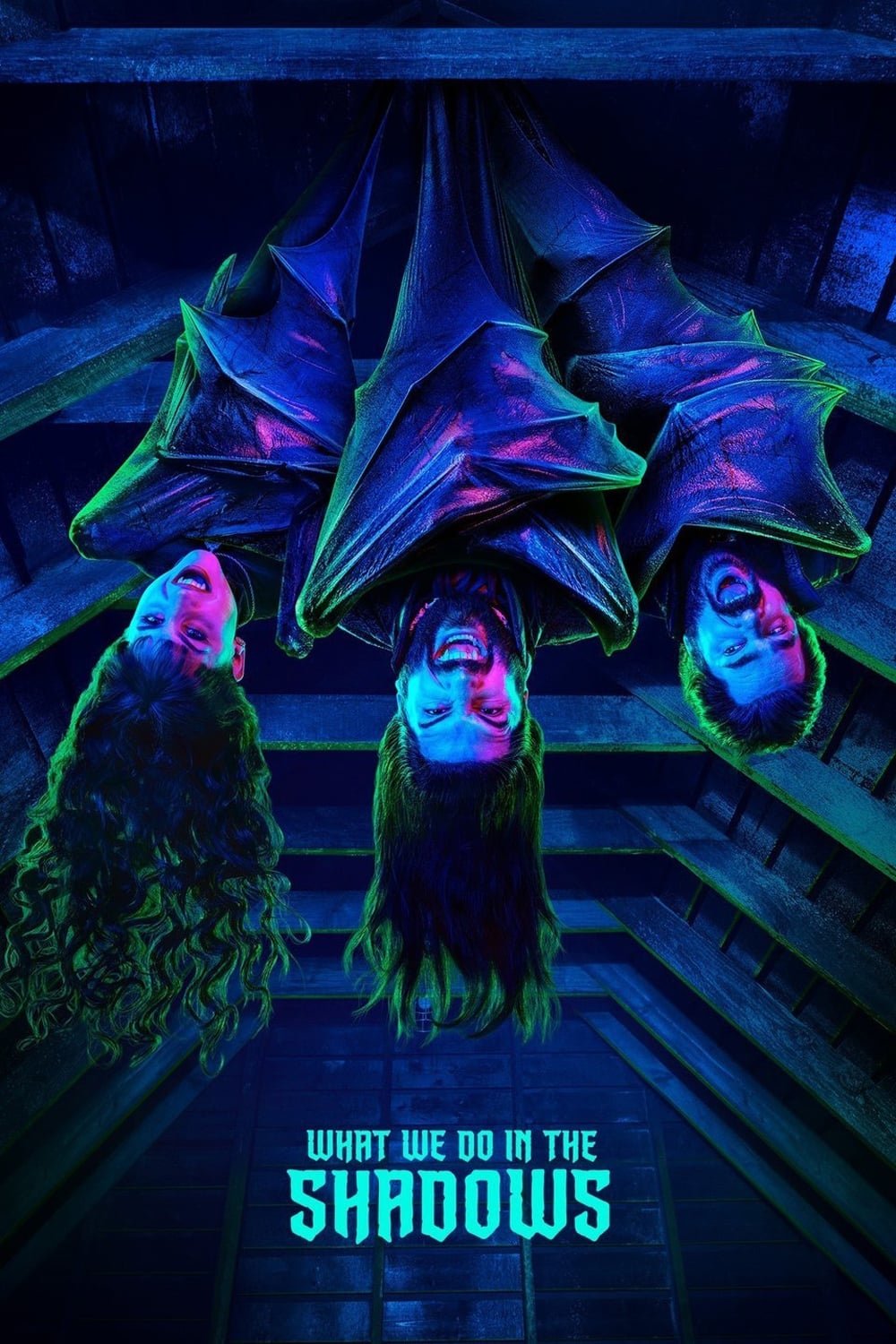 TV Show What We Do in the Shadows Image