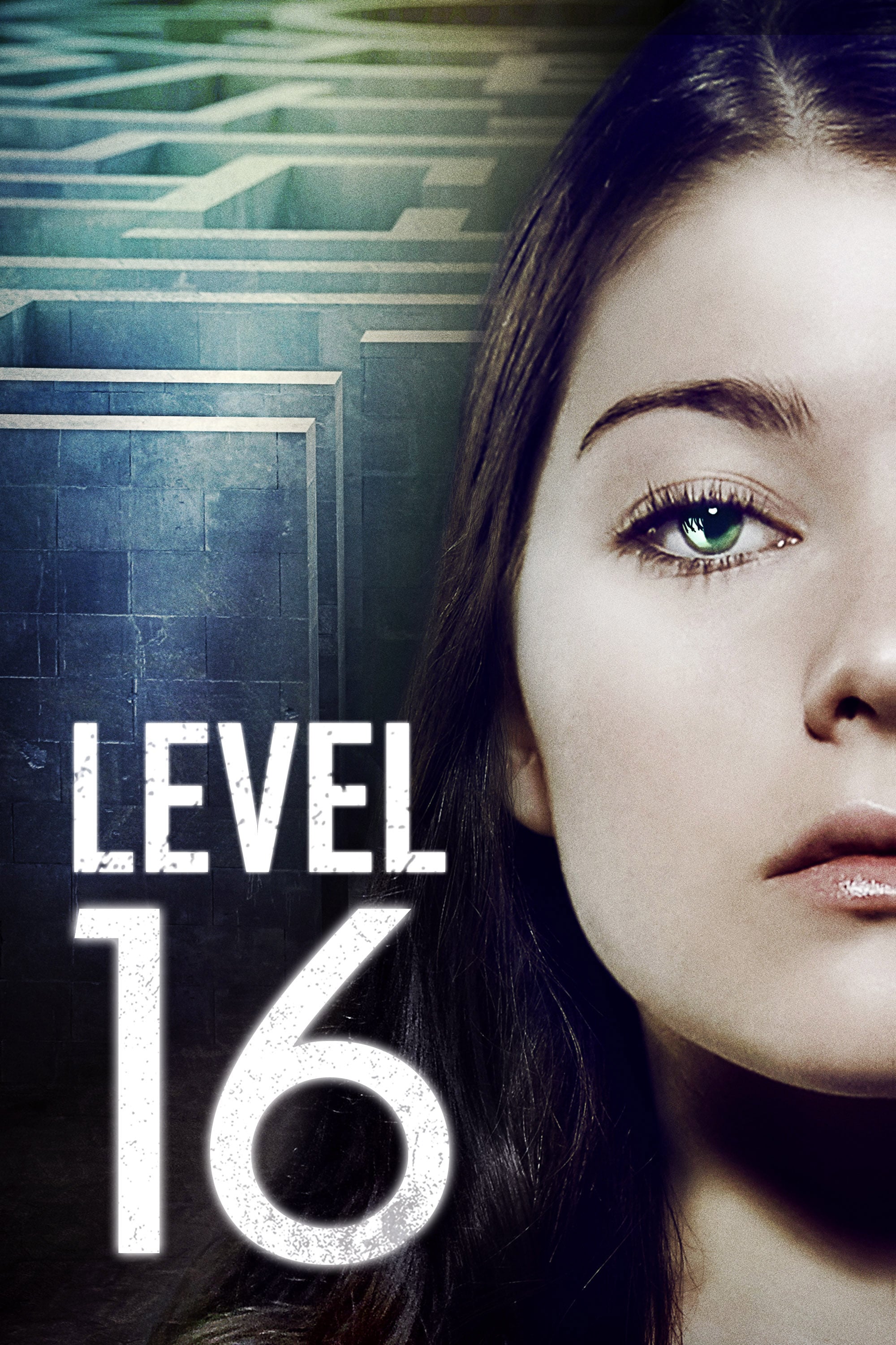 Level 16 Picture