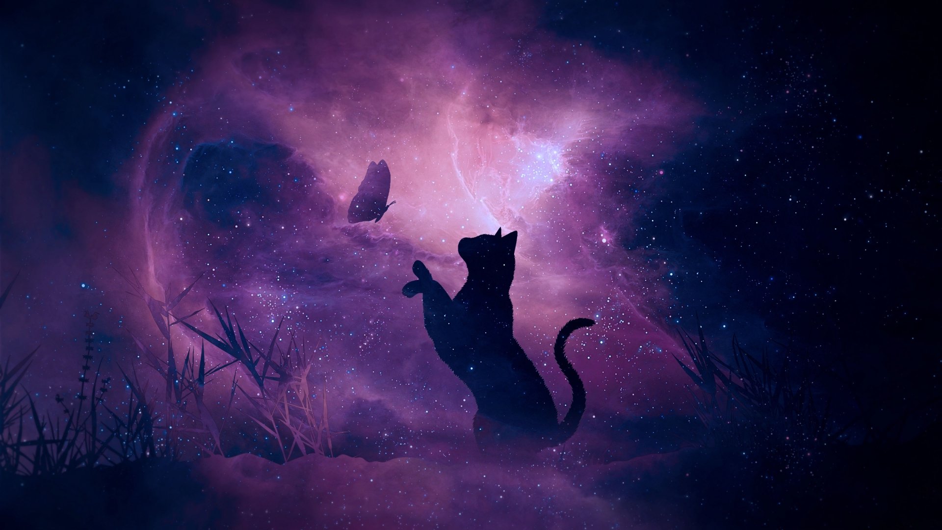 Download Purple Butterfly Animal Cat Image