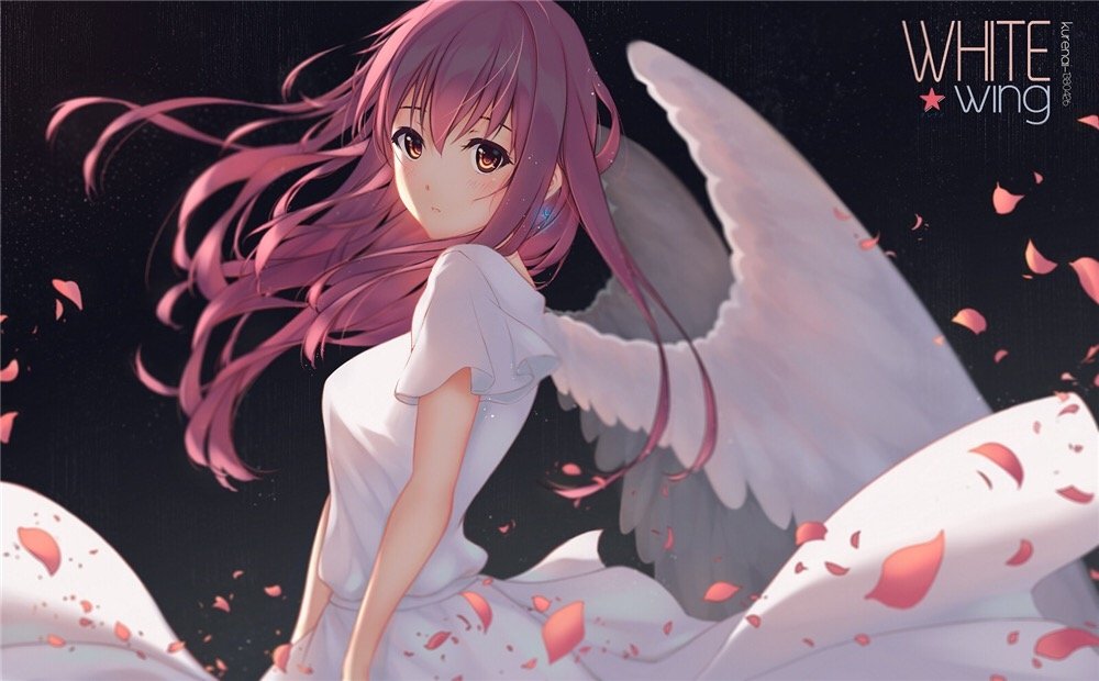 Angel Image - ID: 240541 - Image Abyss