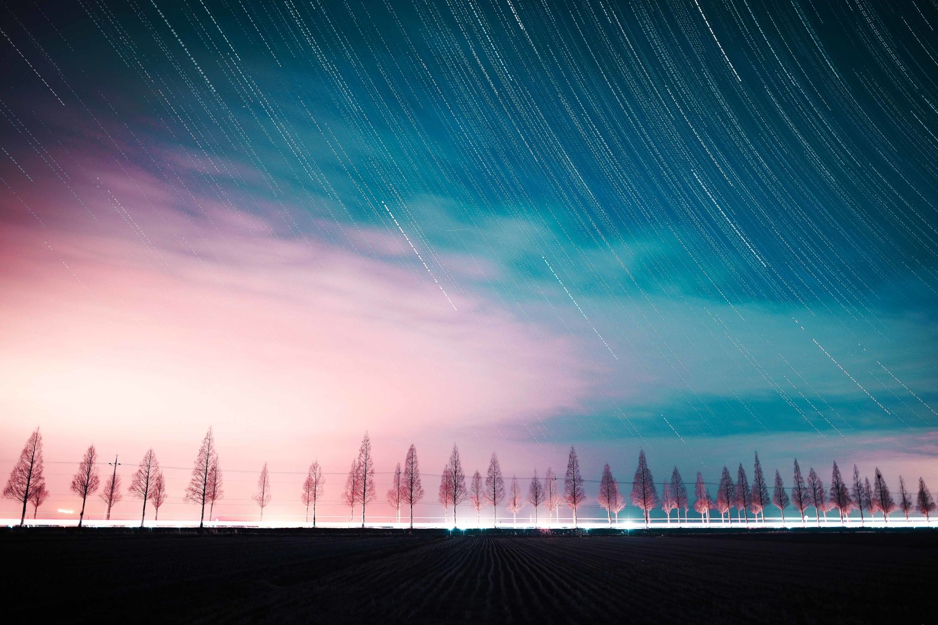 nature star trail Image
