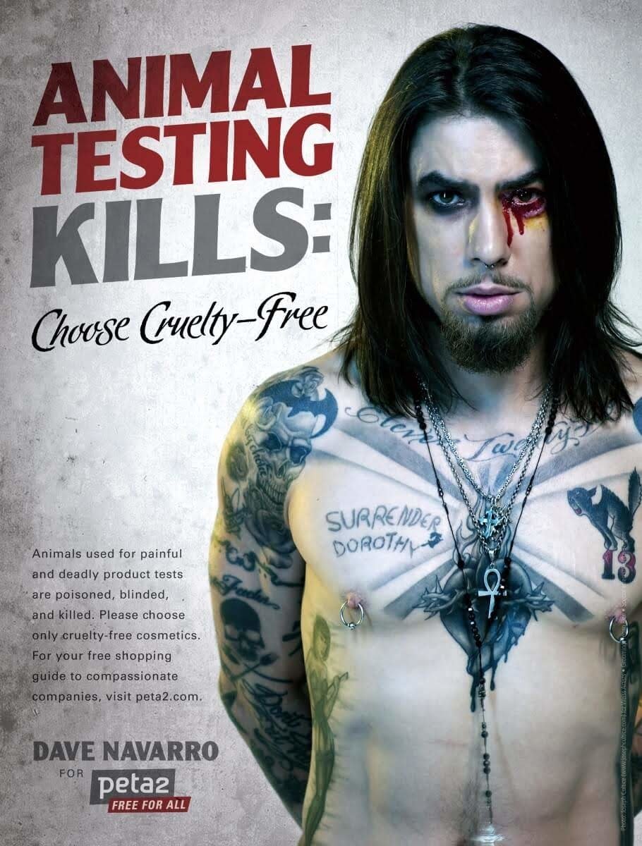 Download Music Dave Navarro Image