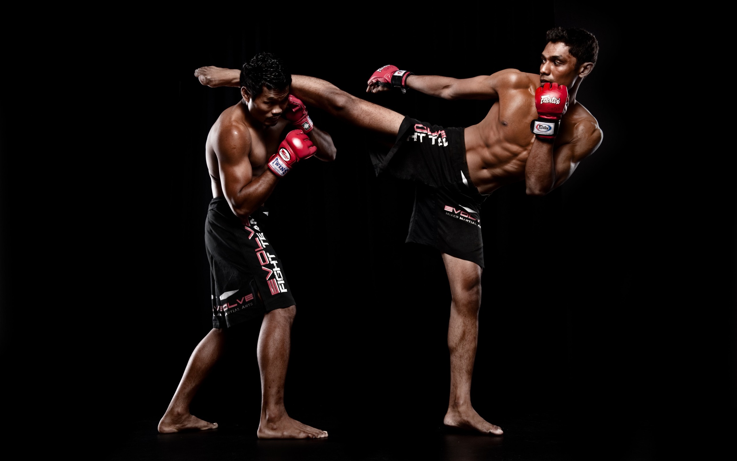 Mixed Martial Arts Images. 