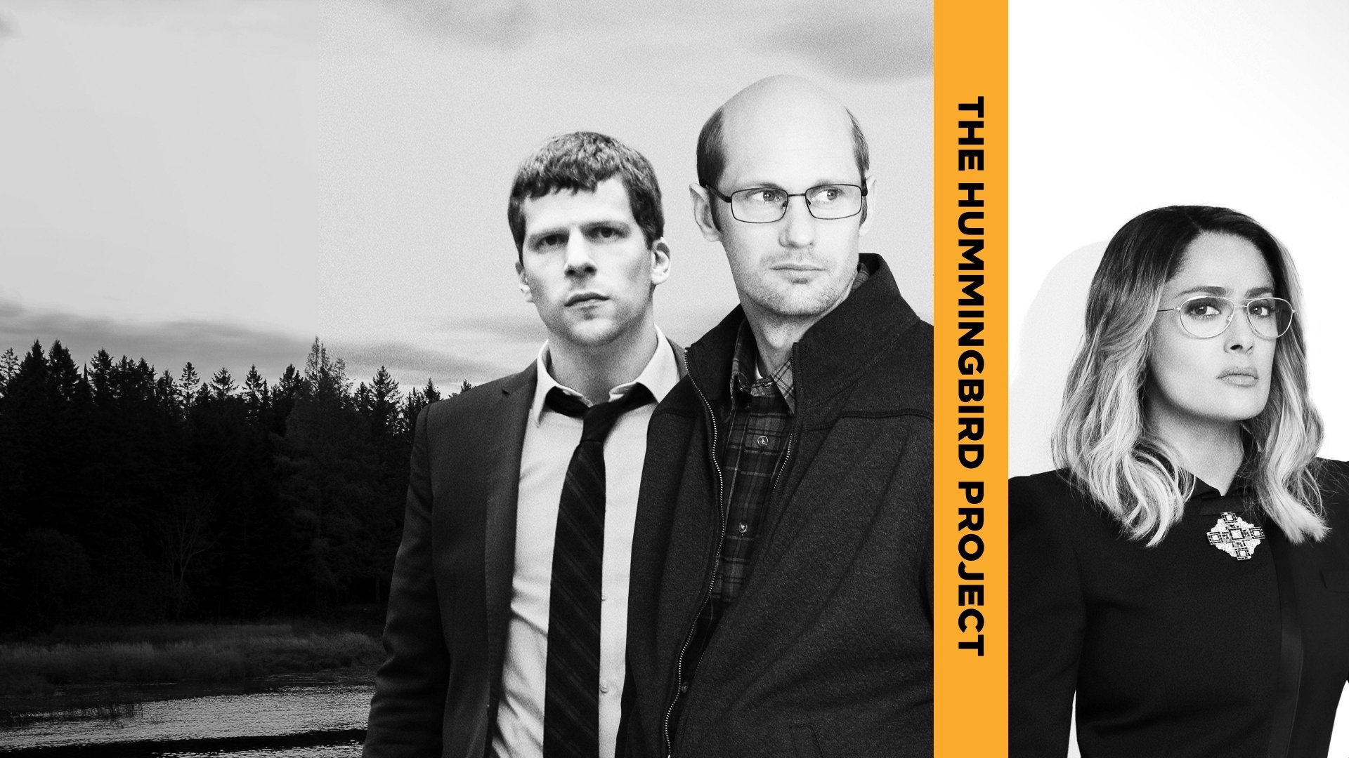 movie The Hummingbird Project Image