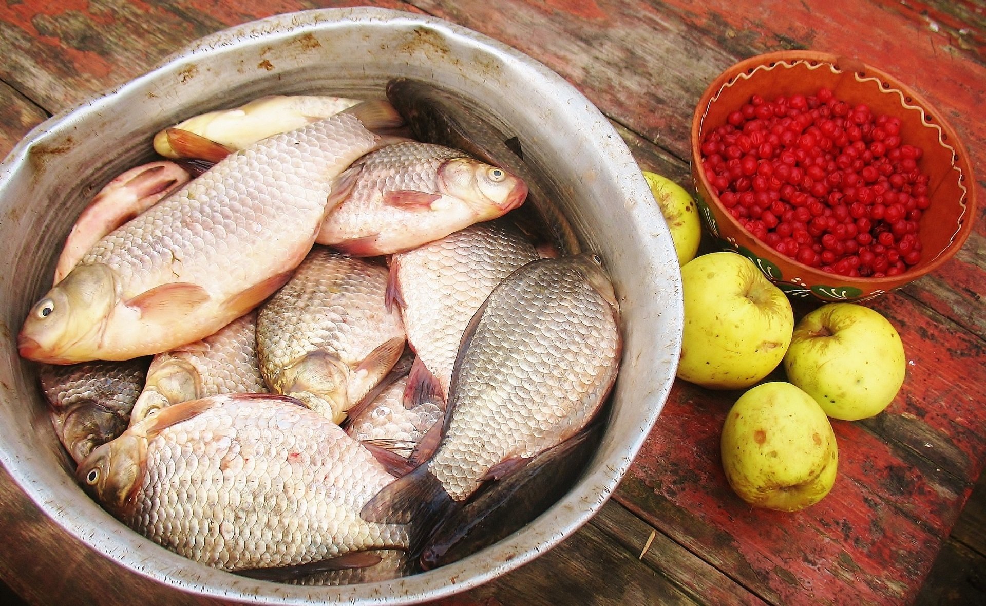 fish Image