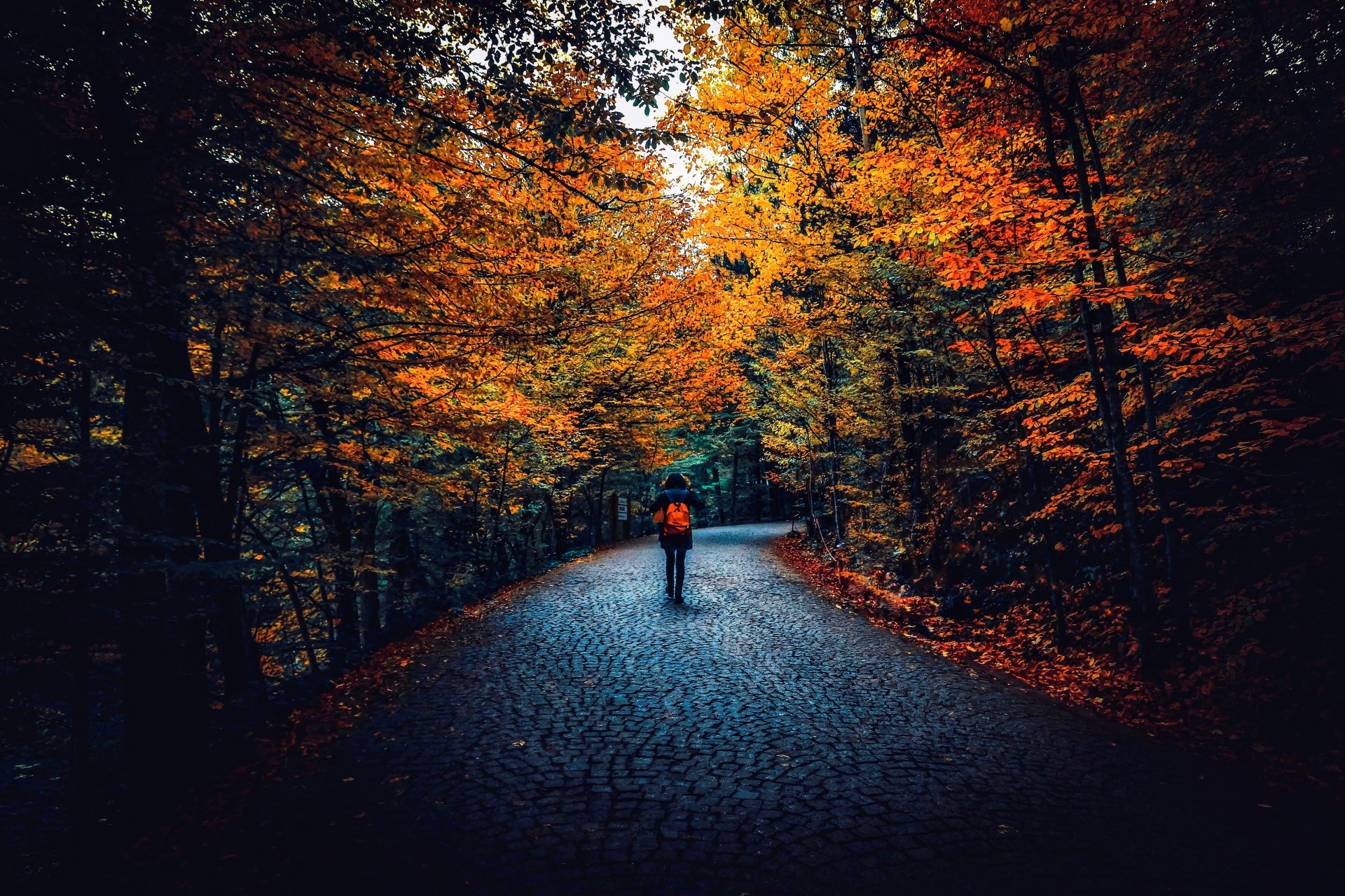 road man alone Image