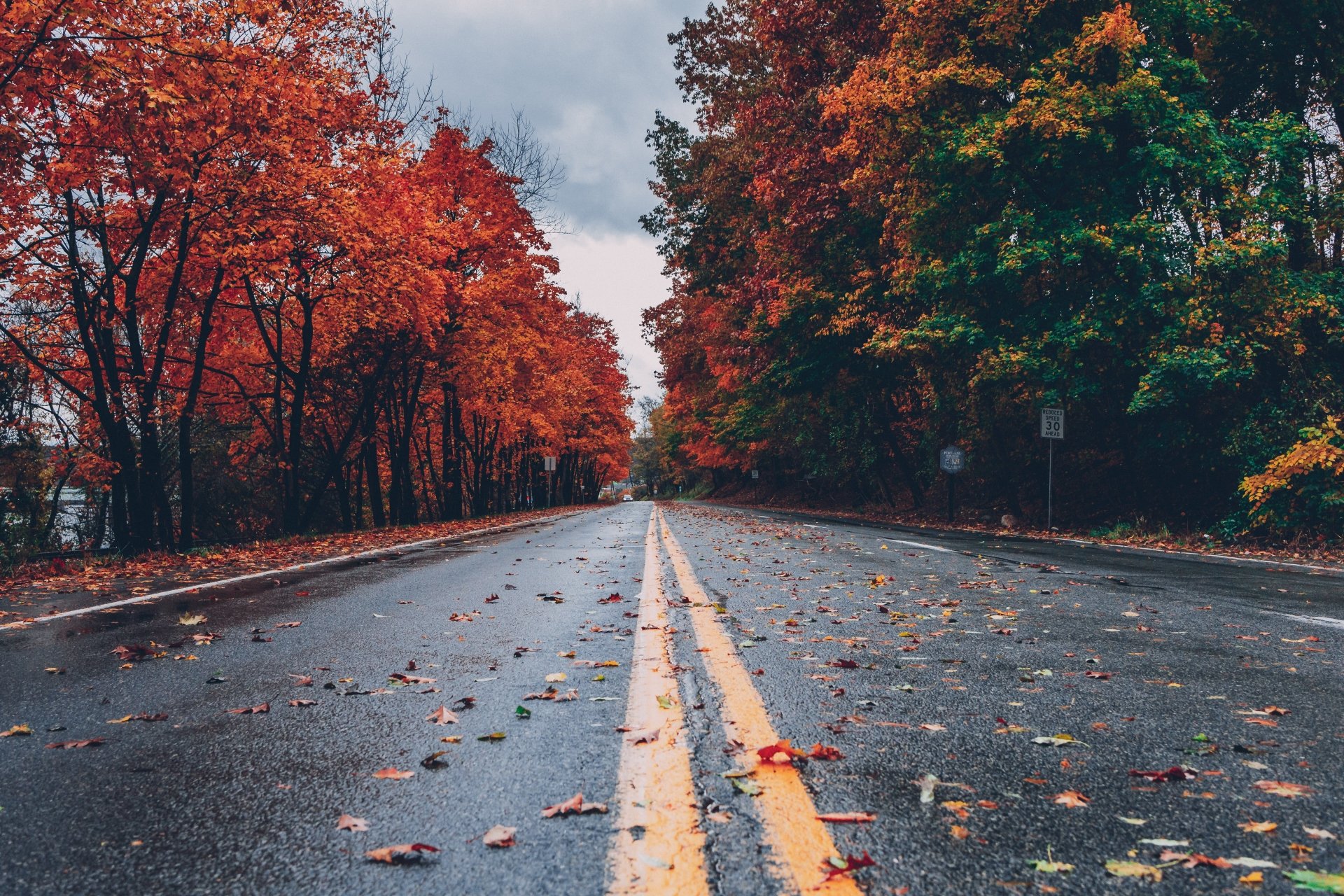  On road in fall