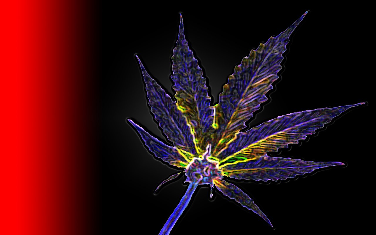 A vibrant, artistic depiction of a marijuana leaf, outlined in glowing colors against a dark background, enhancing its intricate details and natural form.