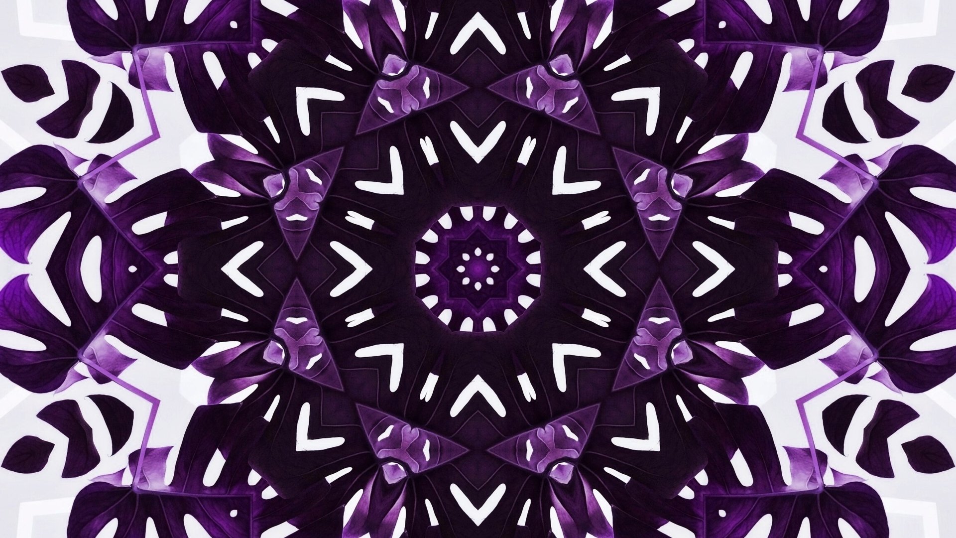  Beautiful deep purple pattern