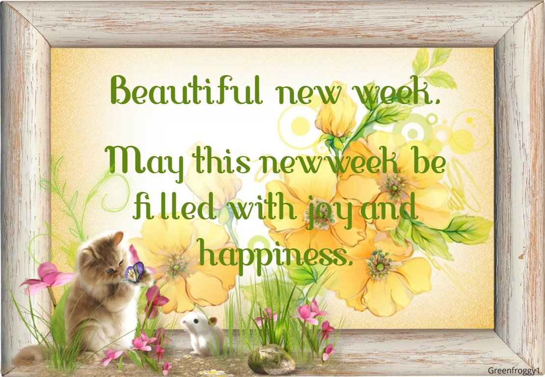 BEAUTIFUL NEW WEEK by GREENFROGGY1 - Image Abyss