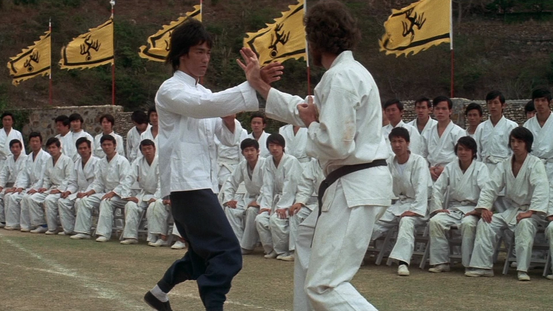 movie Enter the Dragon Image