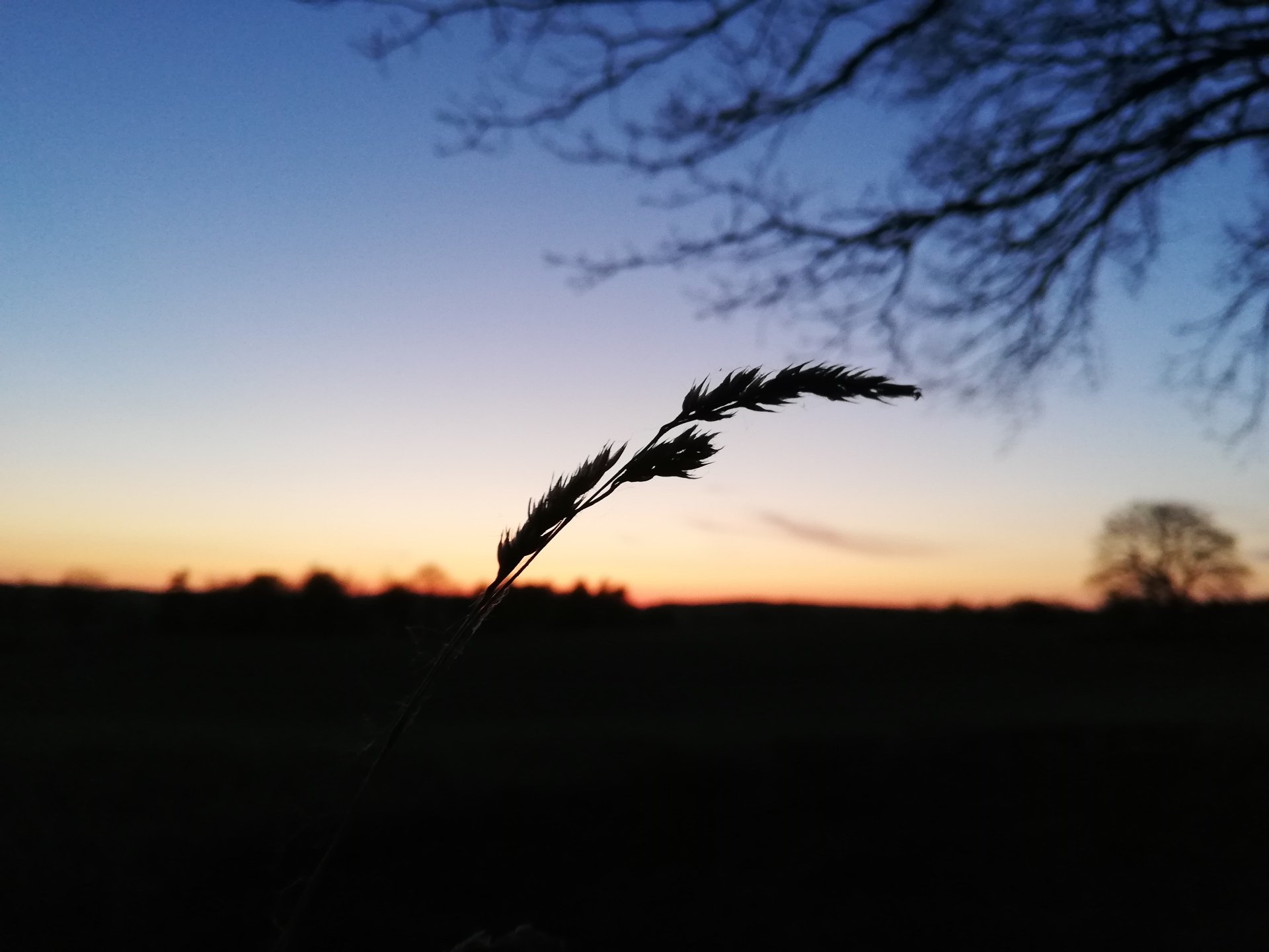 photography nature Image