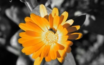 Preview Image 246193
