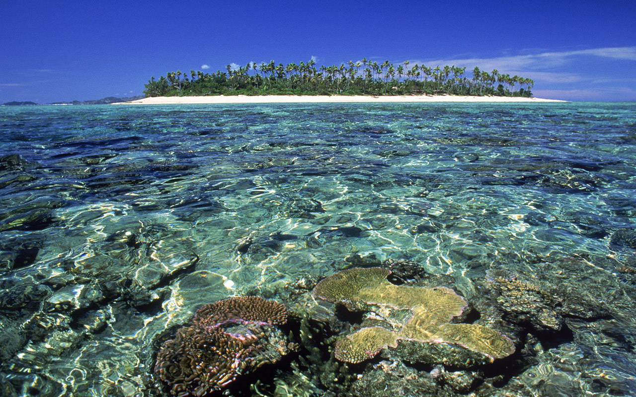 Island Picture