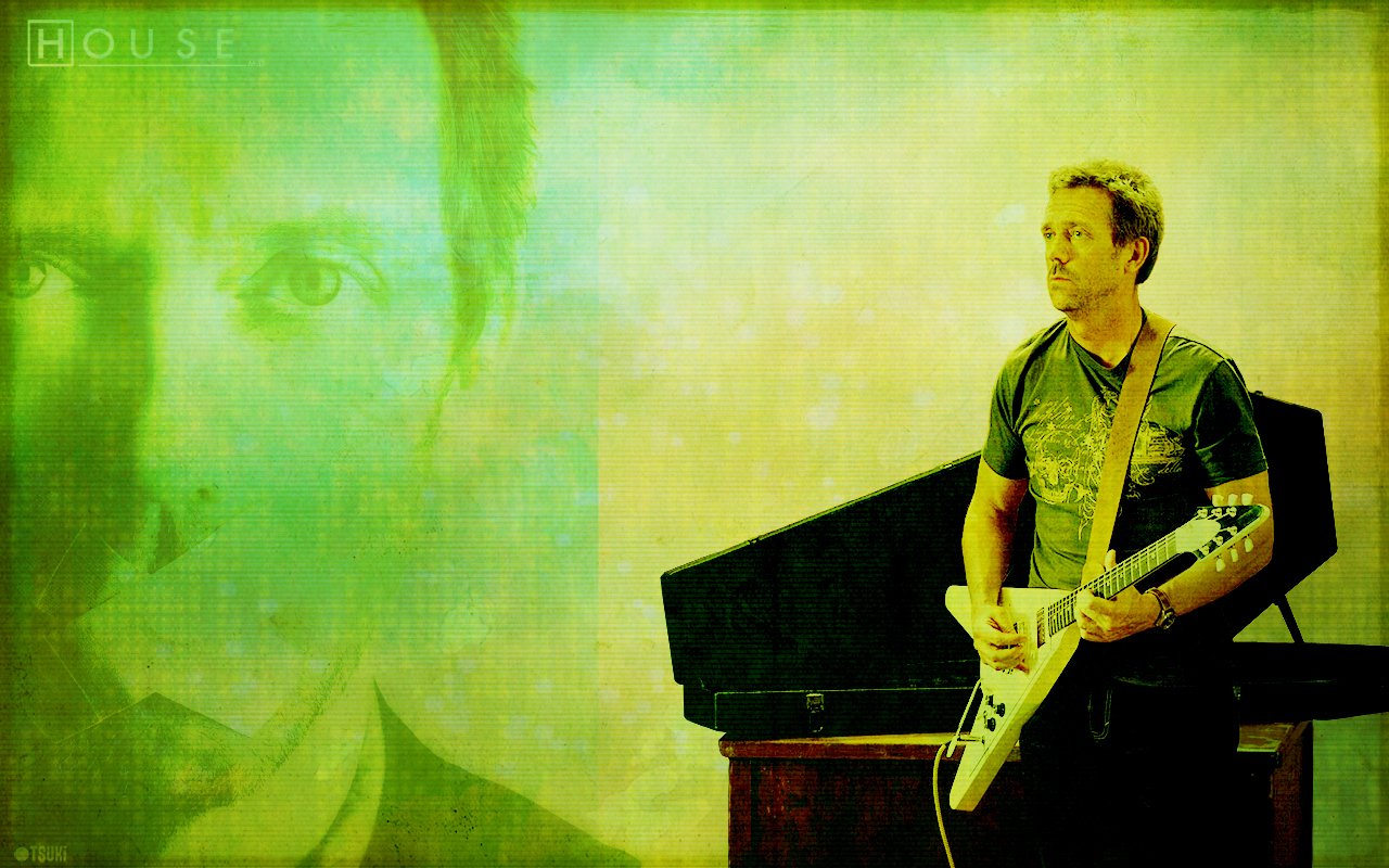 Gregory House Hugh Laurie TV Show House (2004) Image