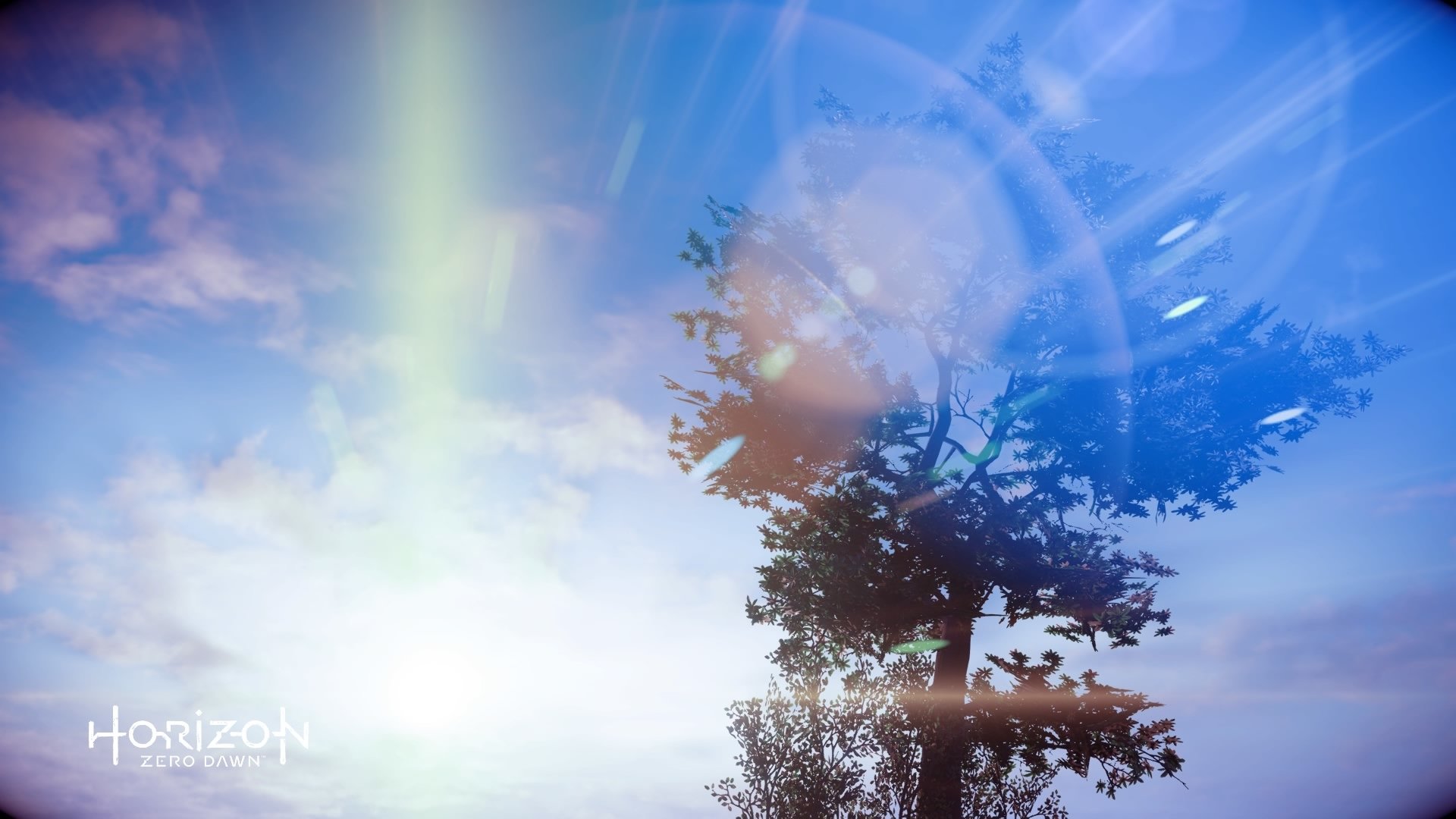  Images taken with the Horizon Zero dawn photo mode.