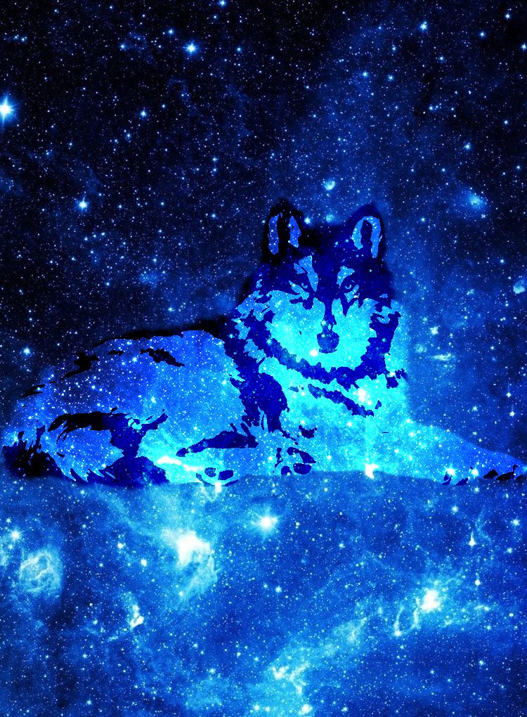 dog Image