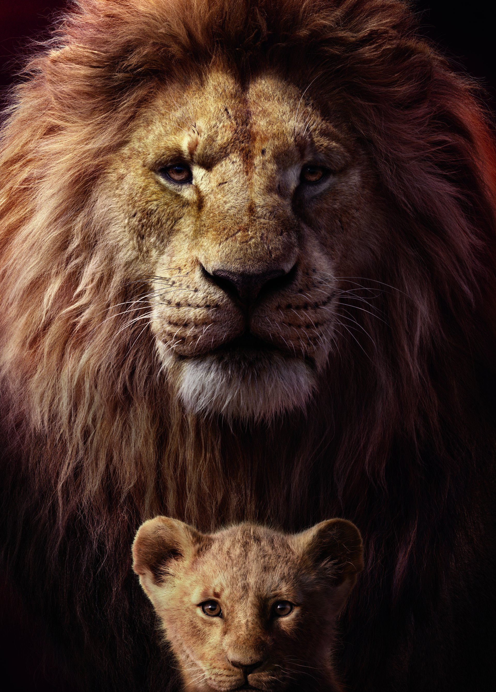 download the lion king showing