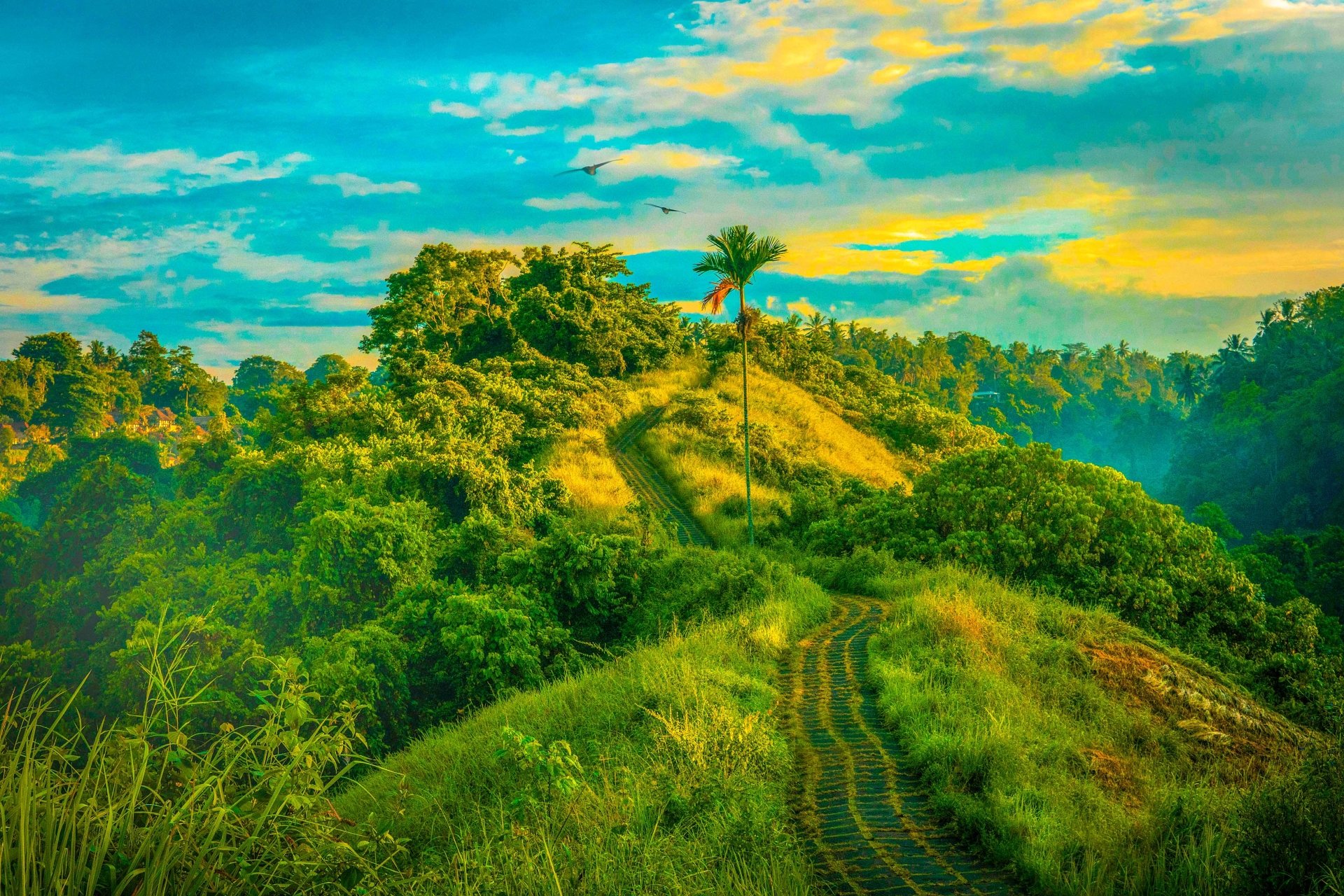 mountain man made path Image