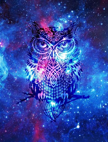 Owl wallpaper by Zsoooooomleeeee - Download on ZEDGE™ | cd99