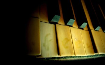 Preview Image 249667