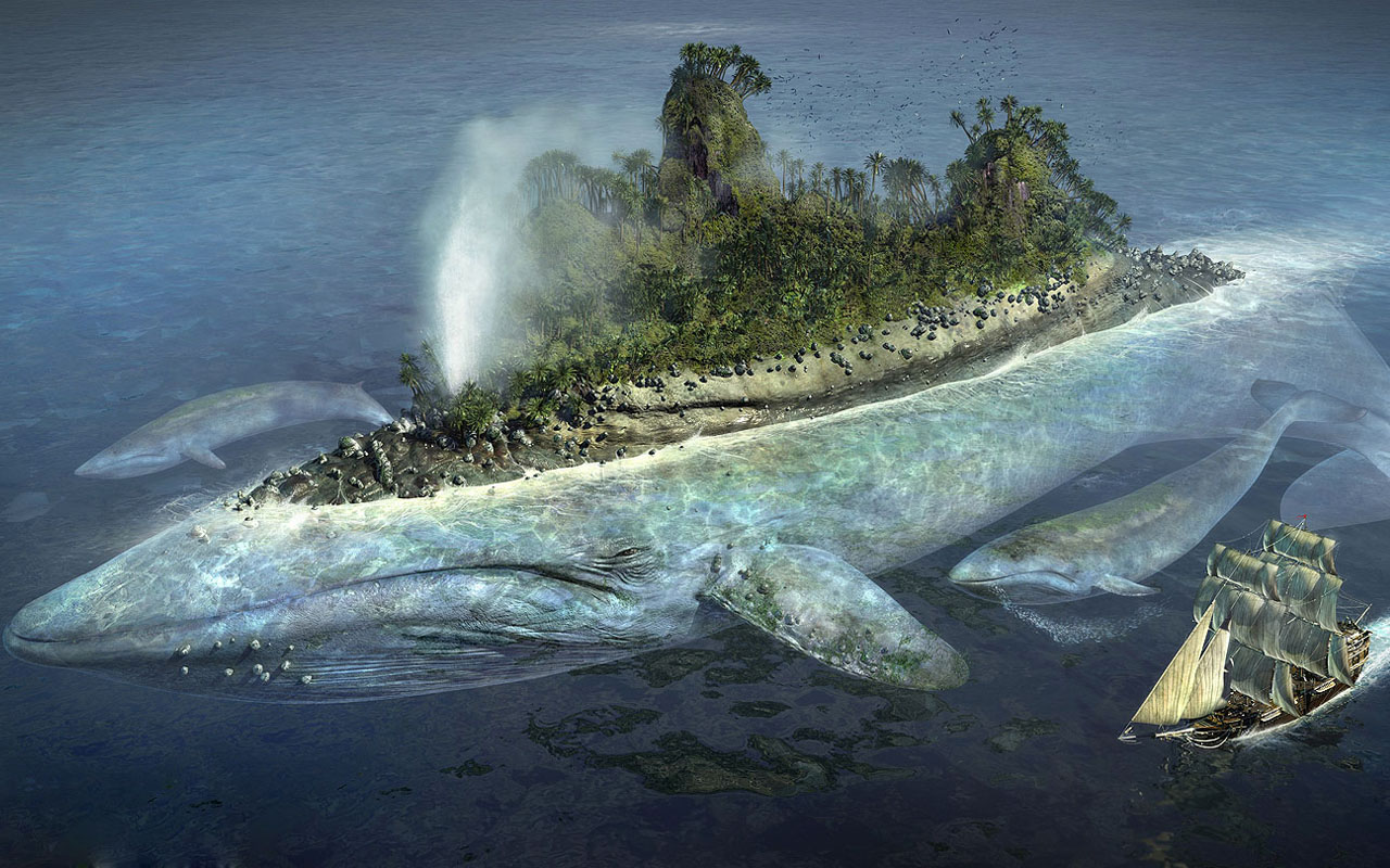Fantasy Whale Picture