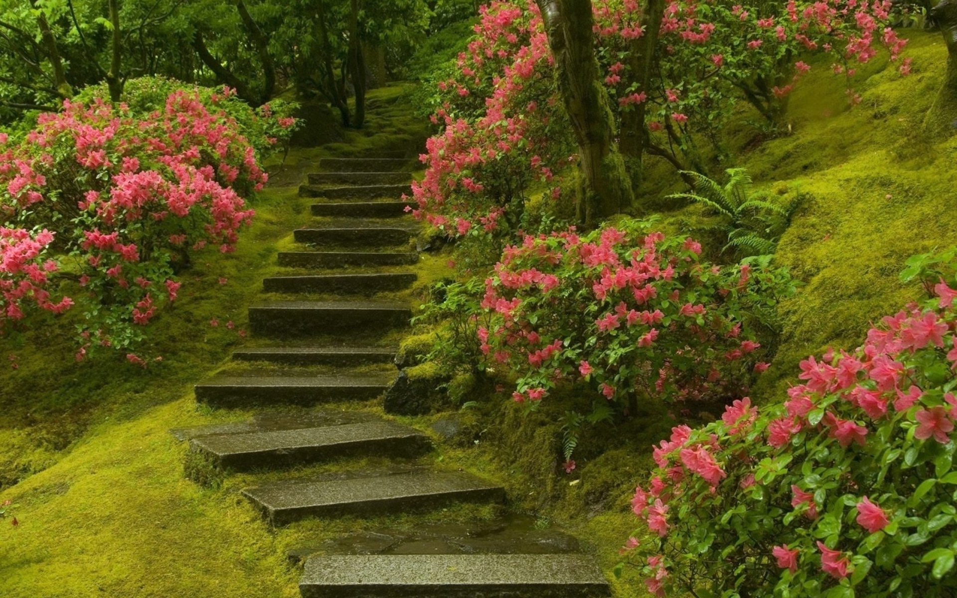 A serene path of stone stairs winds through lush greenery, flanked by vibrant pink flowers, creating a tranquil man-made garden atmosphere.