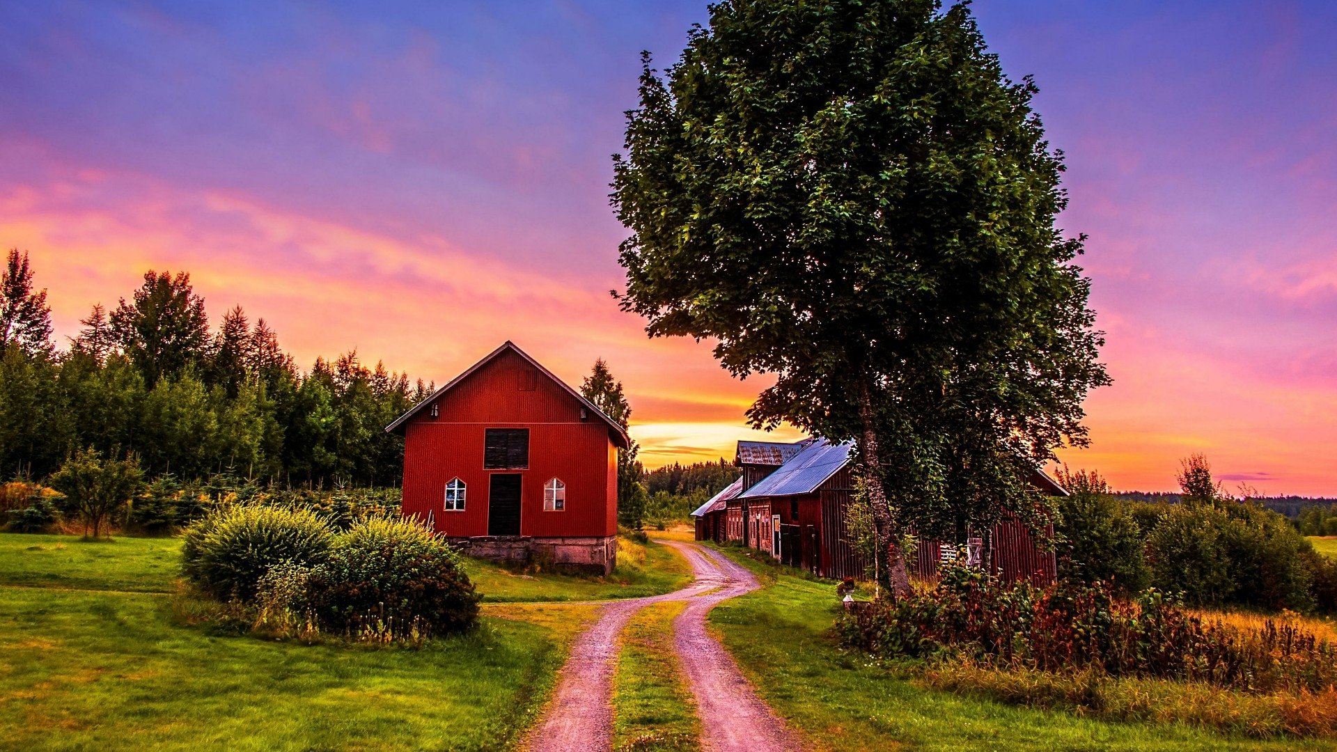 farm dirt road man made road Image