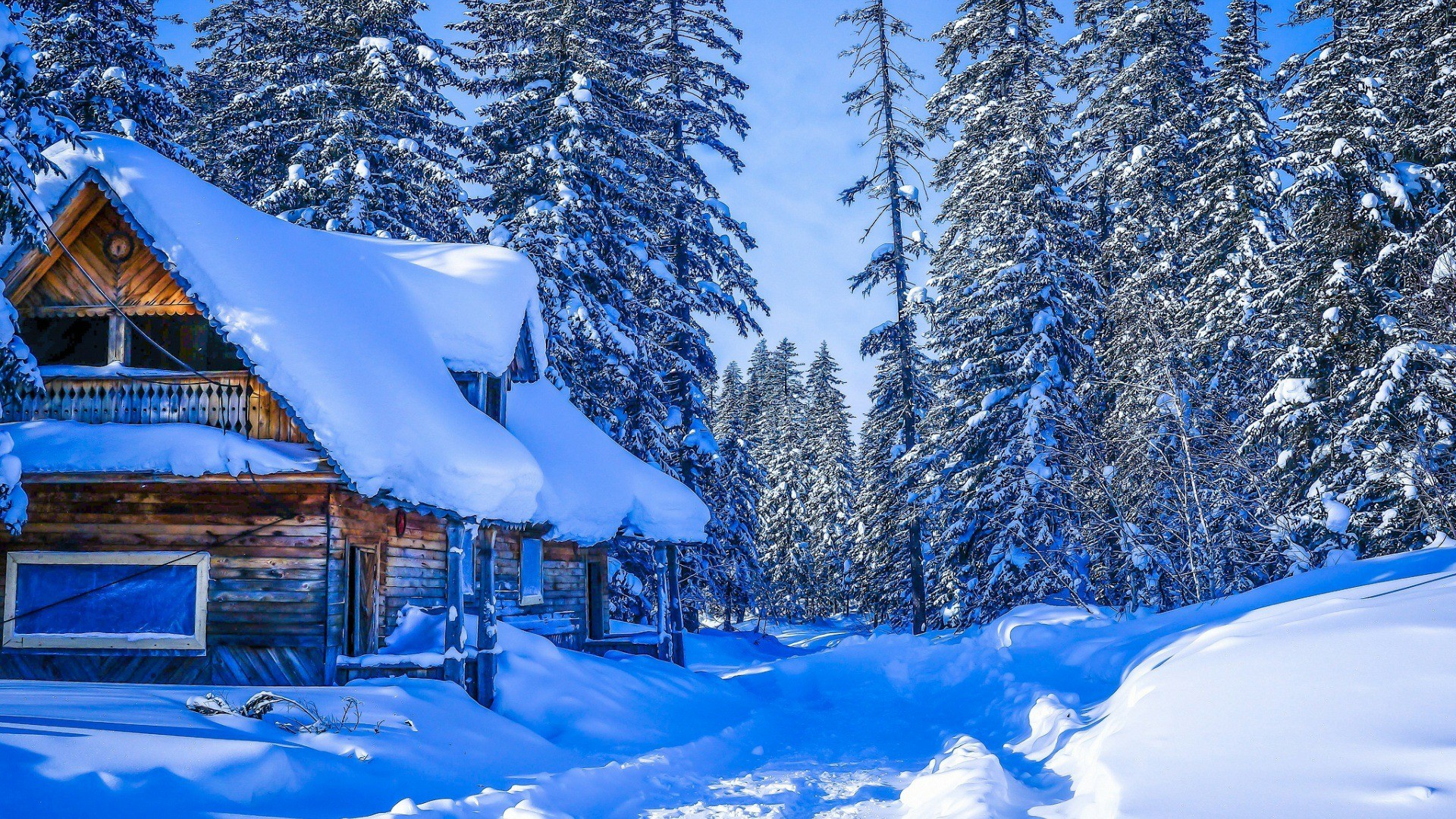 Cabin in Snowy Winter Forest