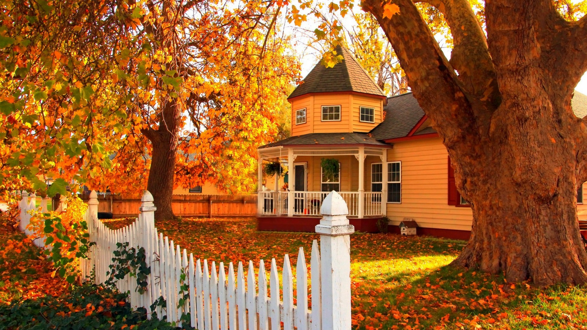 House in Autumn