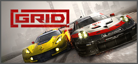 GRID (2019) Picture